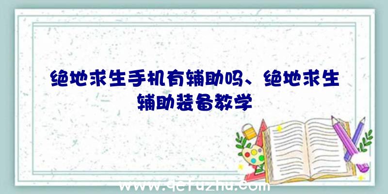 绝地求生手机有辅助吗、绝地求生辅助装备教学