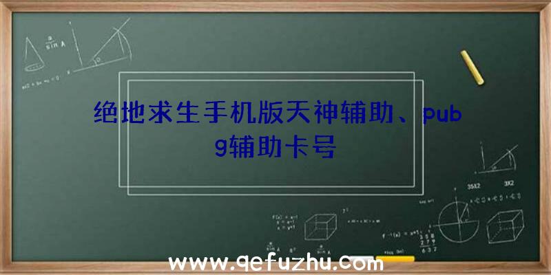 绝地求生手机版天神辅助、pubg辅助卡号