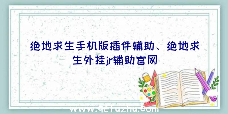 绝地求生手机版插件辅助、绝地求生外挂jr辅助官网