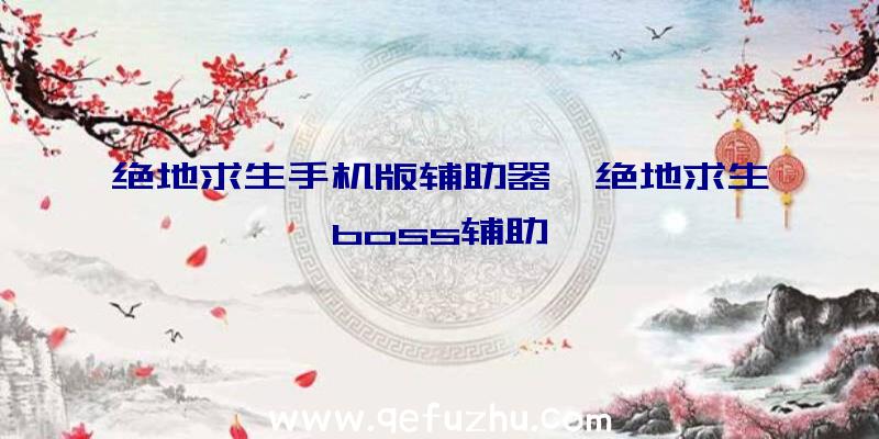 绝地求生手机版辅助器、绝地求生boss辅助