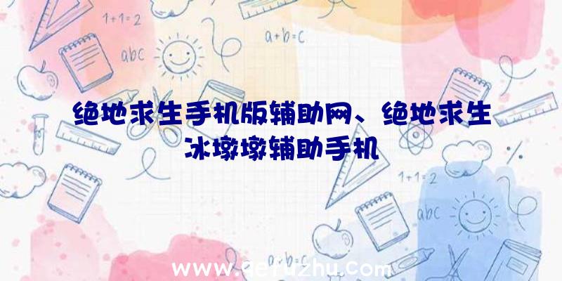 绝地求生手机版辅助网、绝地求生冰墩墩辅助手机