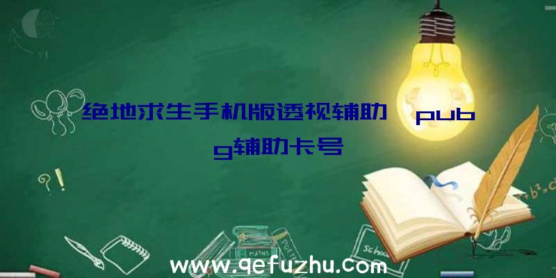 绝地求生手机版透视辅助、pubg辅助卡号