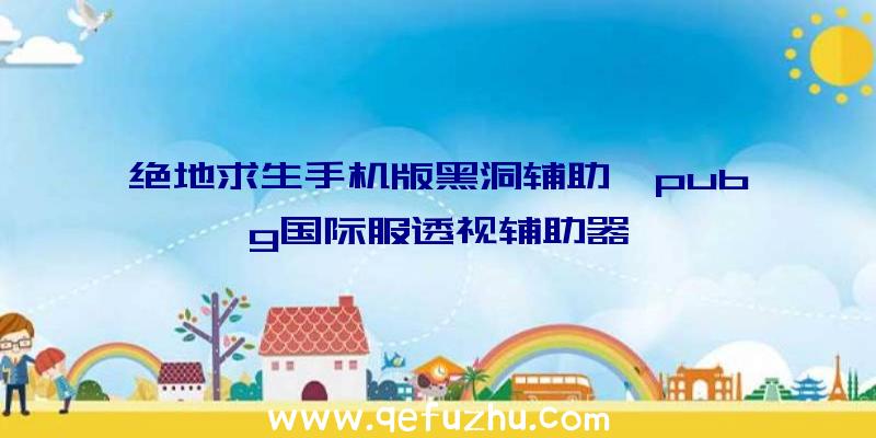 绝地求生手机版黑洞辅助、pubg国际服透视辅助器