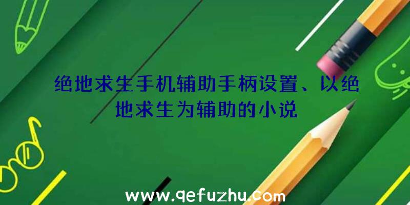 绝地求生手机辅助手柄设置、以绝地求生为辅助的小说