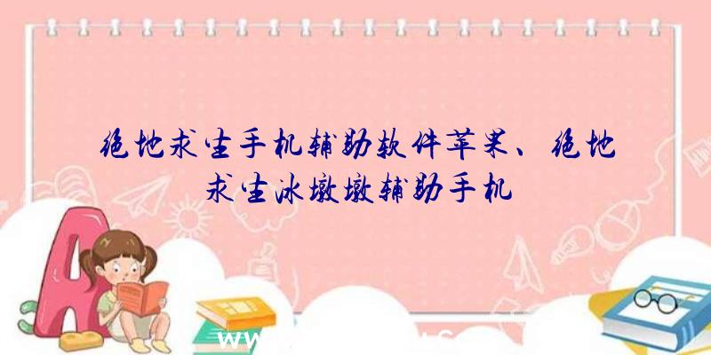 绝地求生手机辅助软件苹果、绝地求生冰墩墩辅助手机