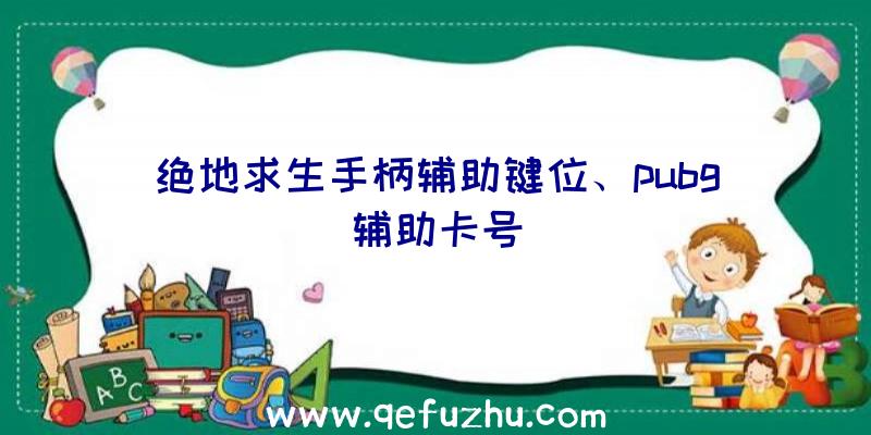 绝地求生手柄辅助键位、pubg辅助卡号