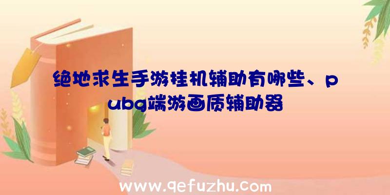 绝地求生手游挂机辅助有哪些、pubg端游画质辅助器