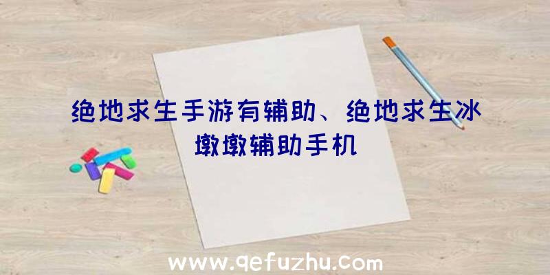 绝地求生手游有辅助、绝地求生冰墩墩辅助手机