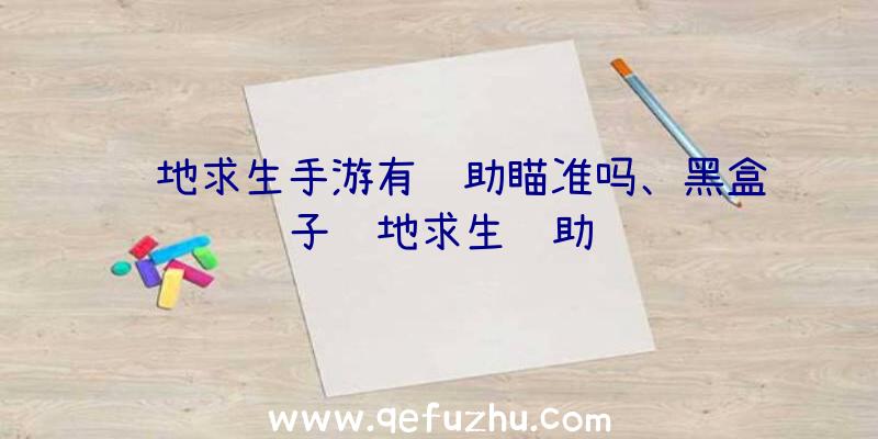 绝地求生手游有辅助瞄准吗、黑盒子绝地求生辅助