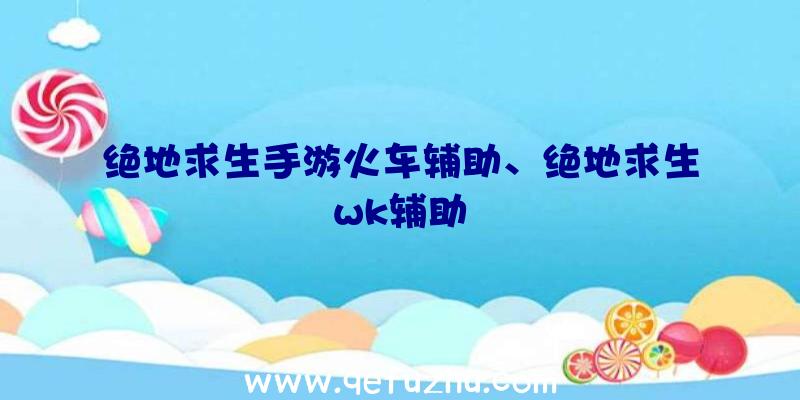 绝地求生手游火车辅助、绝地求生wk辅助