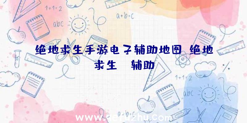 绝地求生手游电子辅助地图、绝地求生da辅助