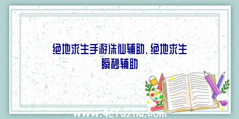 绝地求生手游诛仙辅助、绝地求生瞬秒辅助