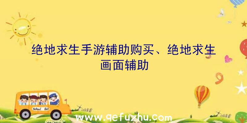 绝地求生手游辅助购买、绝地求生画面辅助