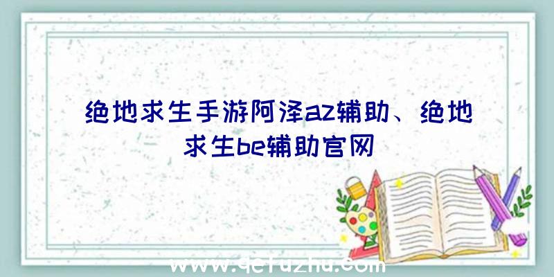 绝地求生手游阿泽az辅助、绝地求生be辅助官网