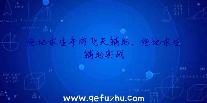 绝地求生手游飞天辅助、绝地求生辅助实战