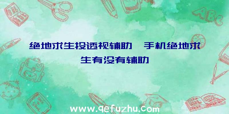 绝地求生投透视辅助、手机绝地求生有没有辅助