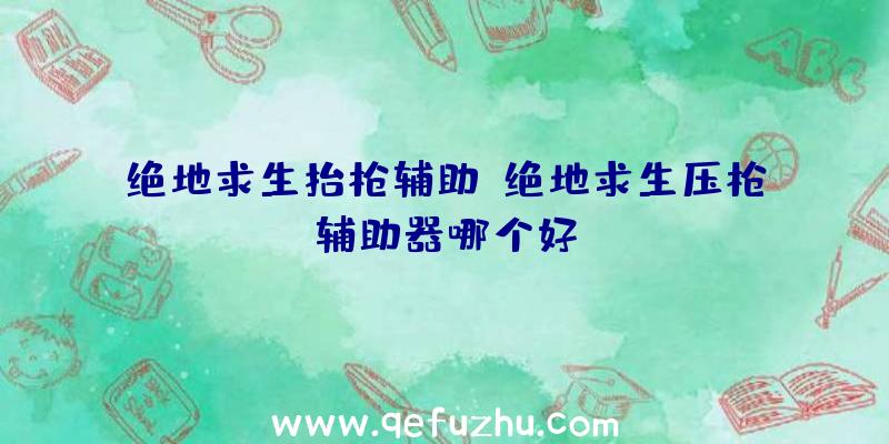 绝地求生抬枪辅助、绝地求生压枪辅助器哪个好