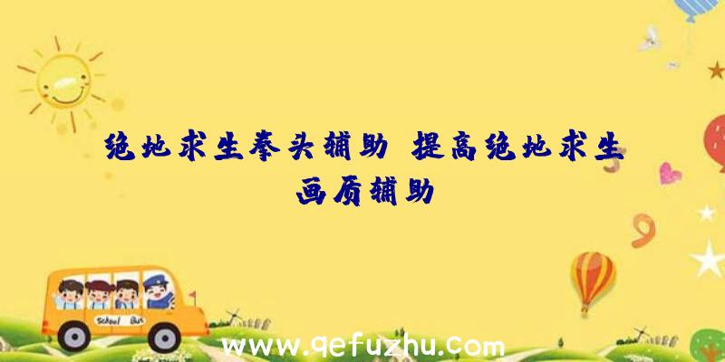 绝地求生拳头辅助、提高绝地求生画质辅助