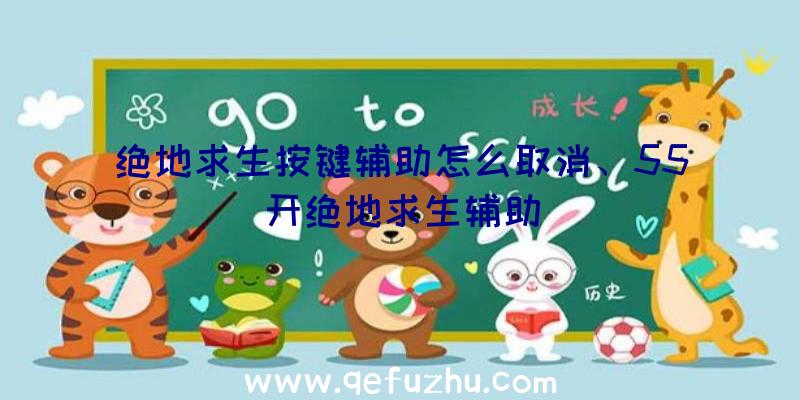 绝地求生按键辅助怎么取消、55开绝地求生辅助