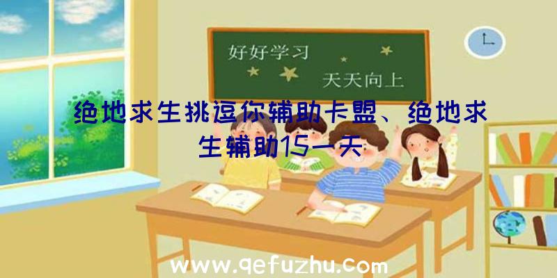 绝地求生挑逗你辅助卡盟、绝地求生辅助15一天