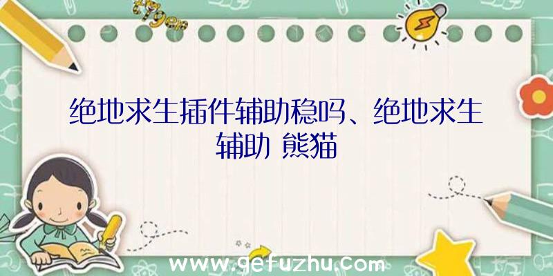 绝地求生插件辅助稳吗、绝地求生辅助