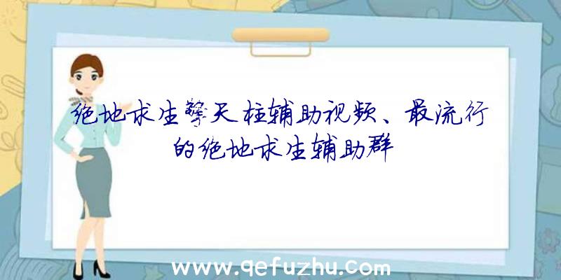 绝地求生擎天柱辅助视频、最流行的绝地求生辅助群