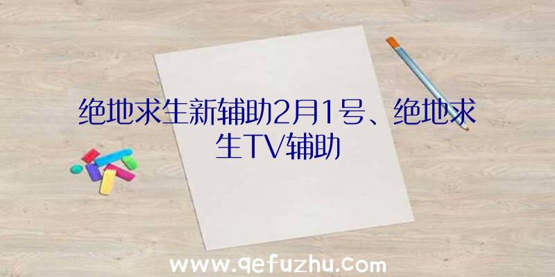 绝地求生新辅助2月1号、绝地求生TV辅助