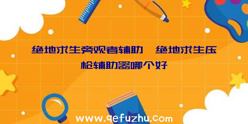 绝地求生旁观者辅助、绝地求生压枪辅助器哪个好