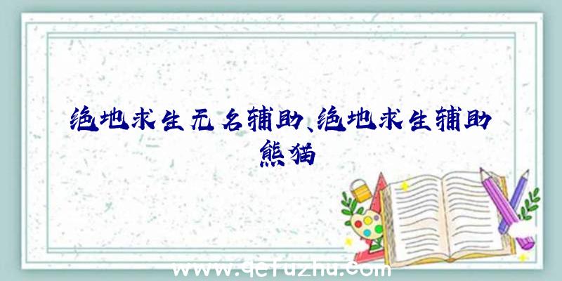 绝地求生无名辅助、绝地求生辅助