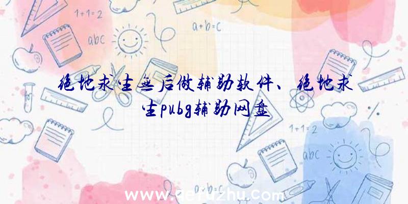 绝地求生无后做辅助软件、绝地求生pubg辅助网盘