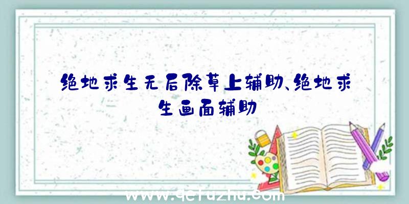 绝地求生无后除草上辅助、绝地求生画面辅助