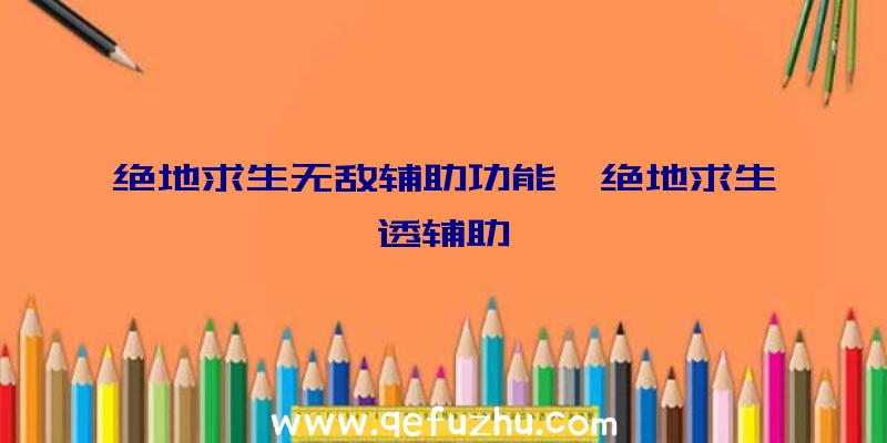 绝地求生无敌辅助功能、绝地求生透辅助