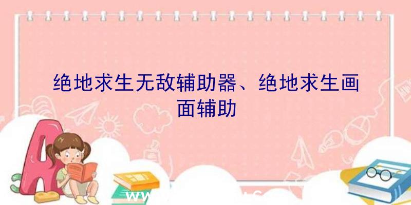 绝地求生无敌辅助器、绝地求生画面辅助