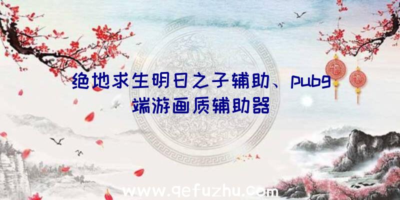 绝地求生明日之子辅助、pubg端游画质辅助器