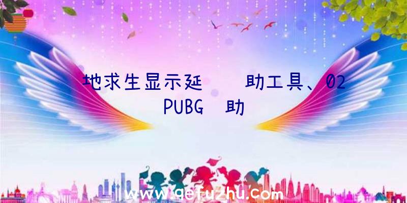 绝地求生显示延迟辅助工具、02PUBG辅助