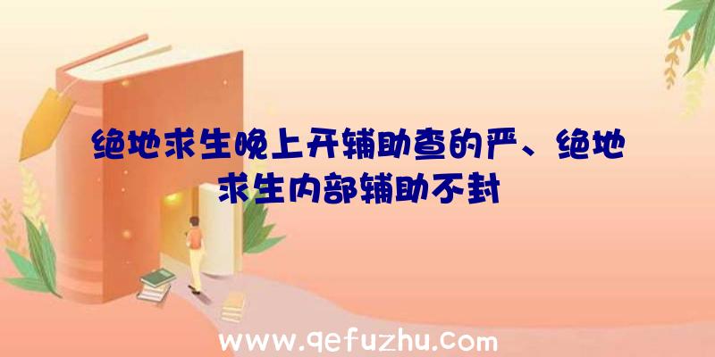 绝地求生晚上开辅助查的严、绝地求生内部辅助不封