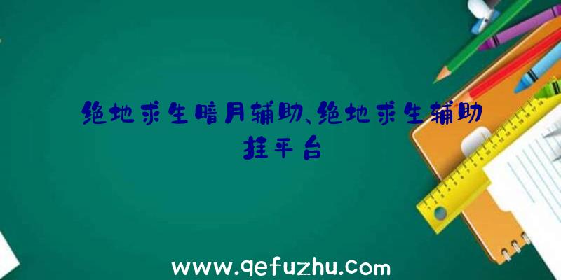 绝地求生暗月辅助、绝地求生辅助挂平台