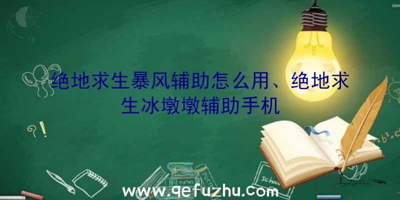 绝地求生暴风辅助怎么用、绝地求生冰墩墩辅助手机