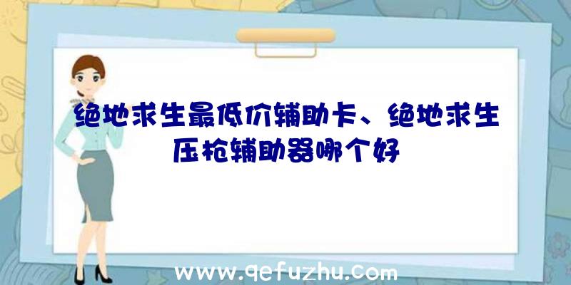 绝地求生最低价辅助卡、绝地求生压枪辅助器哪个好