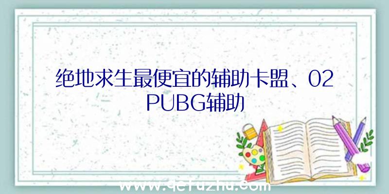 绝地求生最便宜的辅助卡盟、02PUBG辅助