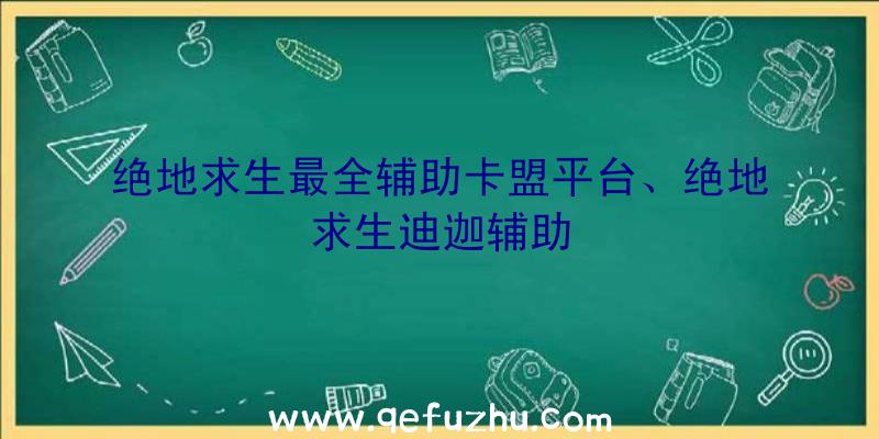 绝地求生最全辅助卡盟平台、绝地求生迪迦辅助