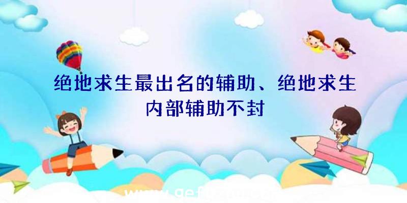 绝地求生最出名的辅助、绝地求生内部辅助不封