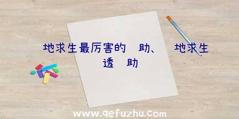 绝地求生最厉害的辅助、绝地求生透辅助