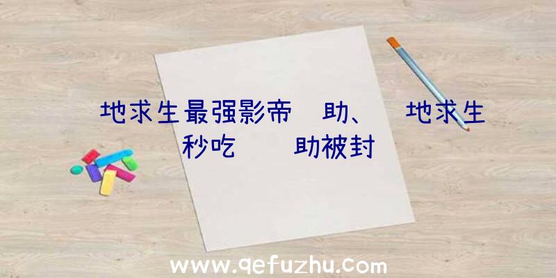 绝地求生最强影帝辅助、绝地求生秒吃药辅助被封