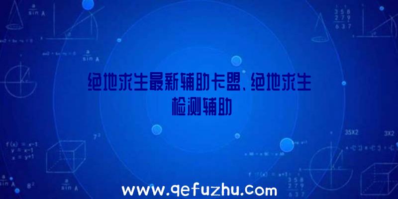 绝地求生最新辅助卡盟、绝地求生