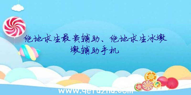 绝地求生最贵辅助、绝地求生冰墩墩辅助手机