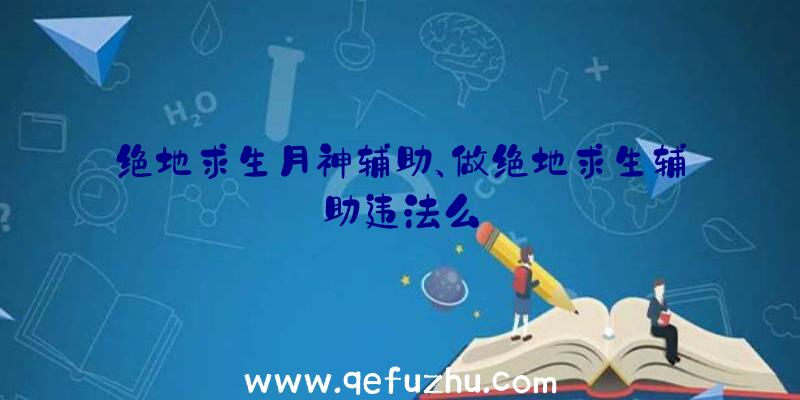 绝地求生月神辅助、做绝地求生辅助违法么