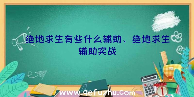 绝地求生有些什么辅助、绝地求生辅助实战