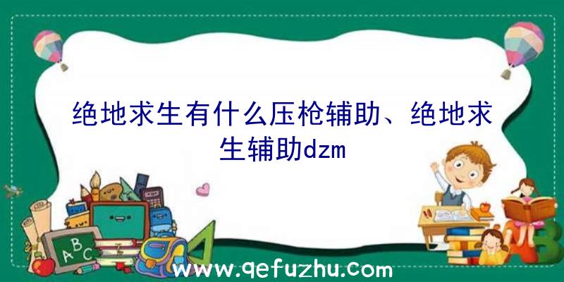 绝地求生有什么压枪辅助、绝地求生辅助dzm