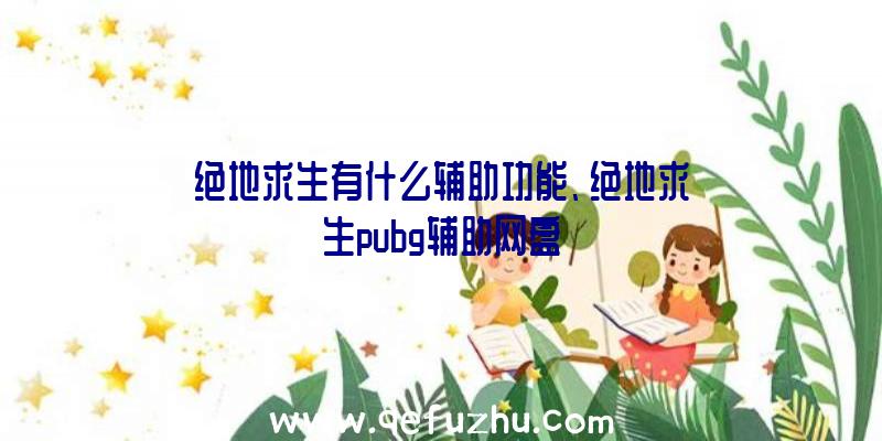 绝地求生有什么辅助功能、绝地求生pubg辅助网盘